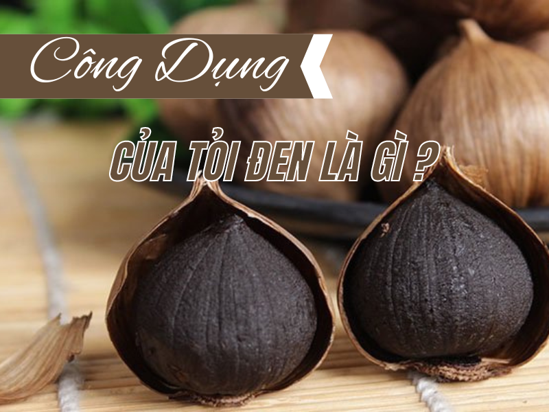 Công Dụng Của Tỏi Đen